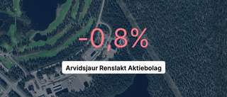 Så gick det för Arvidsjaur Renslakt AB ifjol