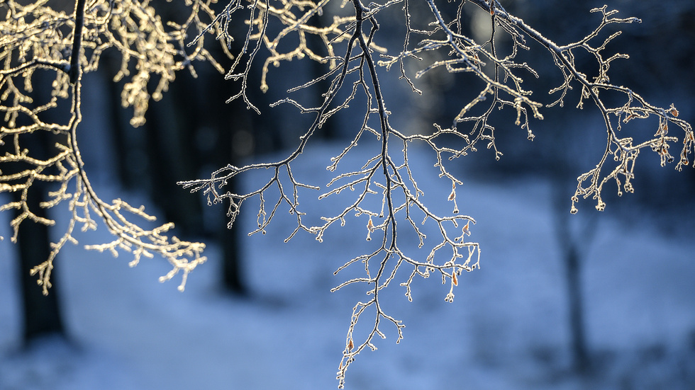 Kylan som drog in över Enköping under onsdagen var inte ens den kallaste decemberdagen under det senaste året.