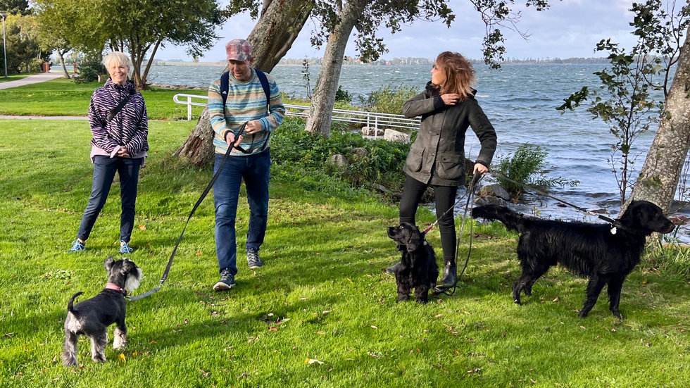 Marie Karlsson, Stefan Josefsson och Helene Borgenback med hundarna Wilfrid, Vera och Hedvig. De är delar av styrelsen för Vadstenas hundsällskap.
