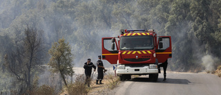 Flera döda i algeriska bränder