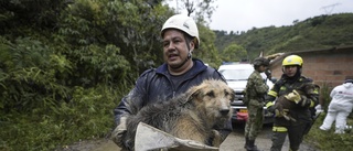 Flera döda i jordskred i Colombia