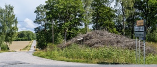 Försvunne 14-åringen misstänks ha mördats