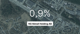 NG Metall Holding AB på rätt sida strecket