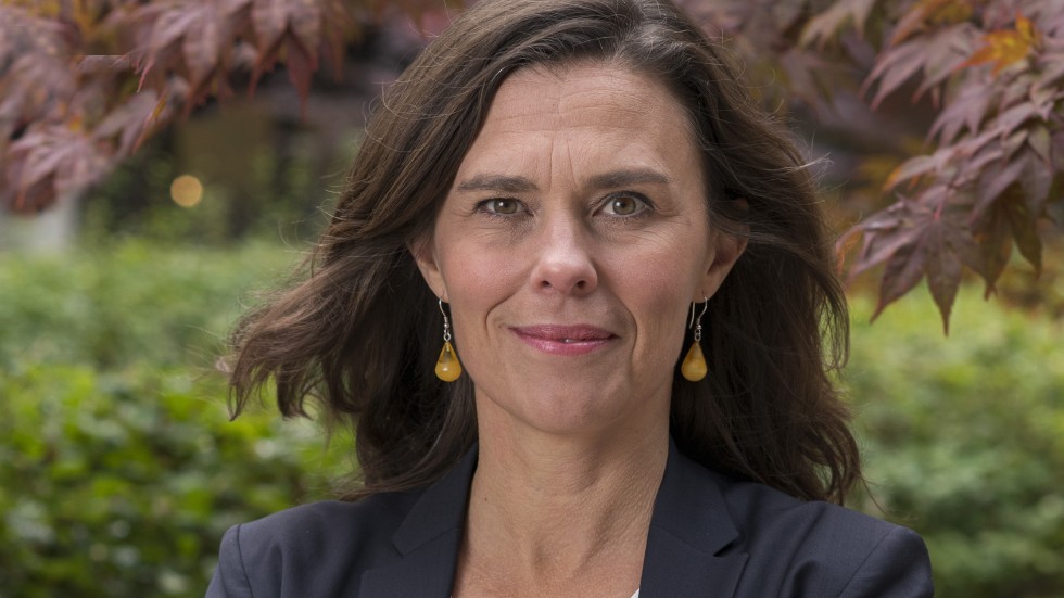 Åsa Persson, forskningschef vid Stockholm Environment Institute.