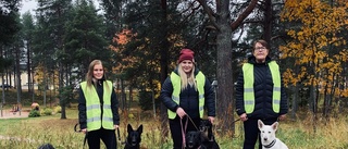 Nattvandring med hundar för att stävja inbrott