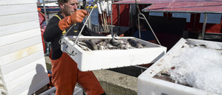 Fiskeministrar trålar efter enighet