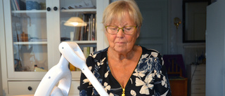 Anna-Lisa, 70, blev rammad av traktor