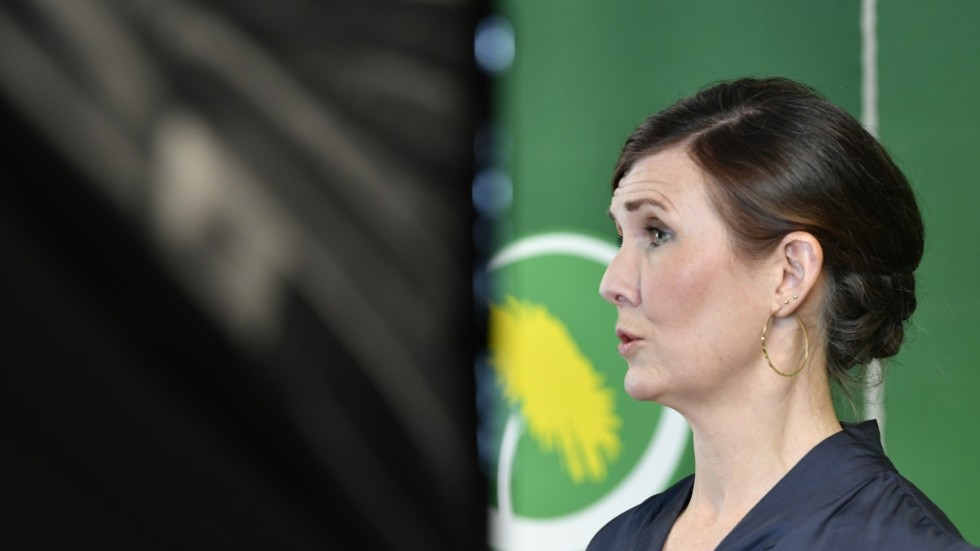 Är Märta Stenevis breda politik vägen fram för Miljöpartiet? Arkivbild.