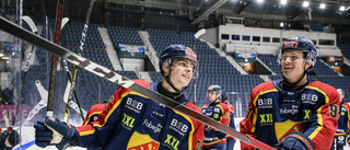 Vita Hästen lånar in en JVM-back från SHL-klubben