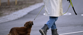 Hundägare misshandlad av annan hundägare i natt