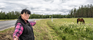 Risk för fågelslakt när dikena rensas: "Hjärtskärande"