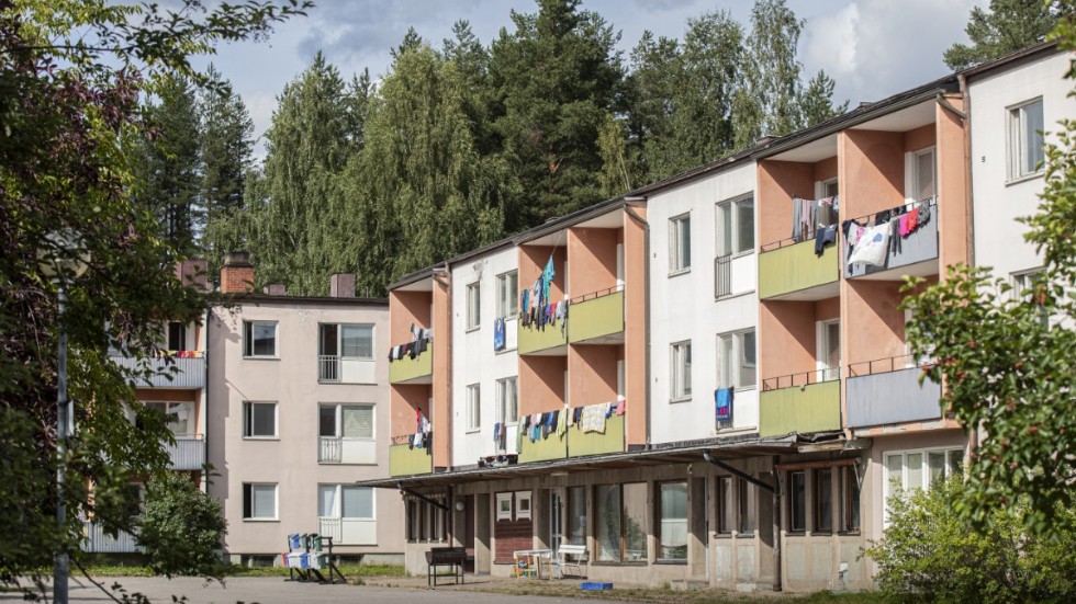 Bärplockarna i torghusen uppger för Aftonbladet att, åtminstone några av dem, ska lämna Vidsel de närmaste dagarna.