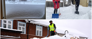 Snökanon från Finska viken knockade "Viken" 