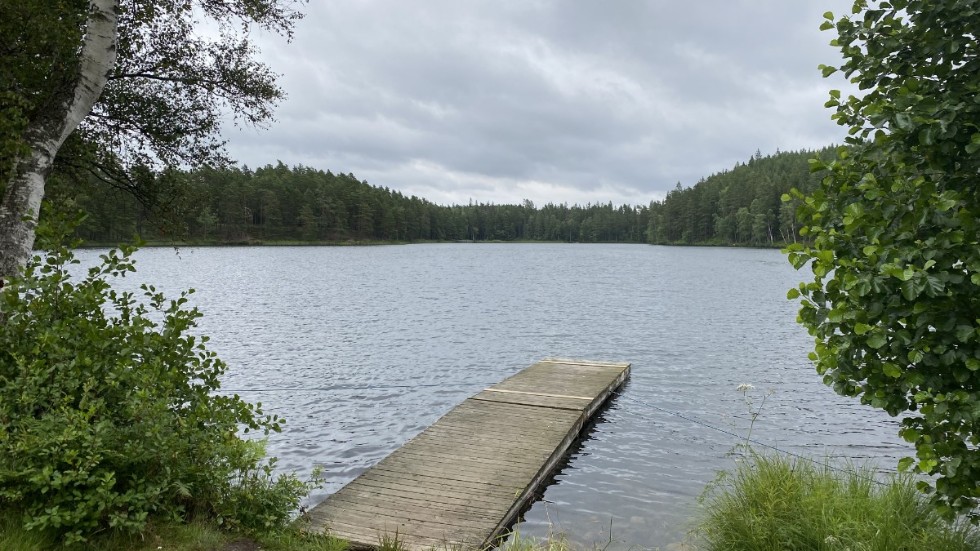 "Med lagförslaget som nu läggs fram kommer det att bli lättare att bygga nära vatten, bland annat eftersom inget generellt strandskydd ska gälla runt sjöar mindre än en hektar och längs vattendrag smalare än två meter", skriver Karin Enström (M) partisekreterare, John Widegren (M) riksdagsledamot och gruppledare Miljö- och jordbruksutskottet, Marie Nicholson (M) riksdagsledamot från Kalmar län och Pär-Gustav Johansson (M) regionråd Region Kalmar län.
