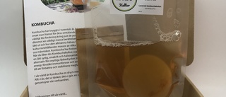 Startkit Kombucha hemmabryggning