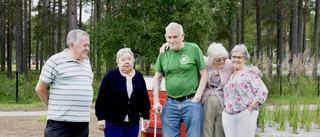 Pensionärerna blev biodlare – nu skördas det honung