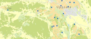 Lista: Här finns utegymmen och deras redskap 