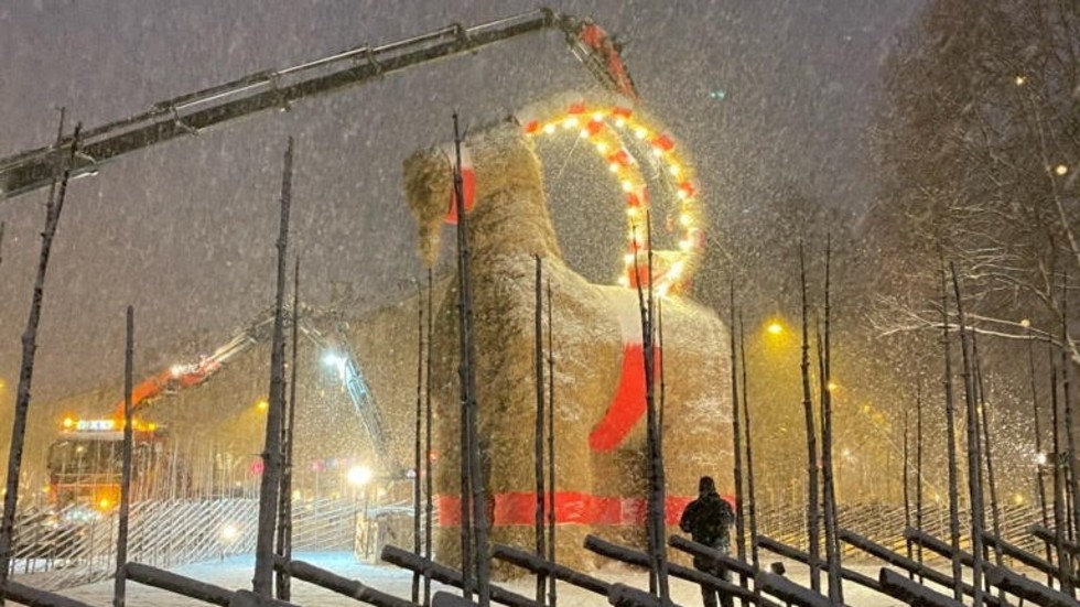 Bocken i Gävle monteras ned. Dubbla gärdsgårdar har bidragit till att den klarat sig fyra år i rad.