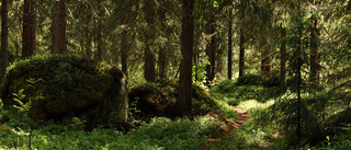 Han upptäckte den 200 år gamla kallkällan i Arnberg