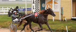 Skandal på Visbytravet          