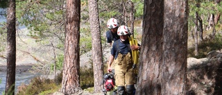 Polisanmälan upprättad efter brand vid badplats     