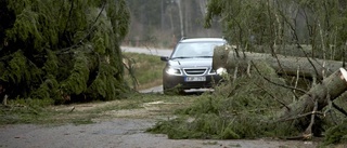 Omfattande strömavbrott i Östhammar