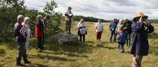 På jakt efter strandängens rariteter