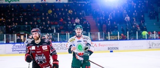 Bodenback får tryout-chans i allsvenska AIK