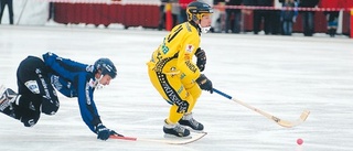 Vetlanda och Sirius spelade 3-3