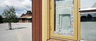 "Maffiatendenser" hos ungdomsgäng