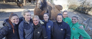 Parken Zoo gör mångmiljonvinst fem år efter köpet – har fått varje kund att spendera mer