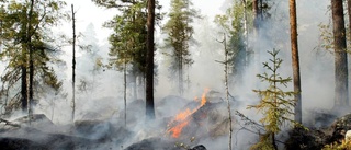 Ilska efter utryckning till slarvigt släckt brand