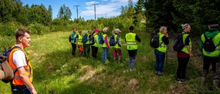 Försvunna kvinnan söktes i svår terräng