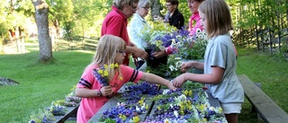 Här kan du fira midsommar