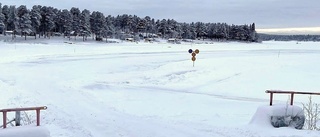 Grön psykos i Luleå – Sandön är under extremt hot