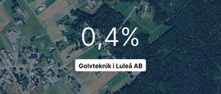 Årsredovisningen klar: Så gick det för Golvteknik i Luleå AB