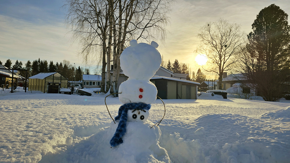 Förvirrande vinter. "Denna förvirrade upp- och nervända snögubbe föddes den 7 februari då det var sex plusgrader på Erikslund i Boden. Den symboliserar veckans väder på så sätt att det var mulet och sol om vartannat", skriver Anki Flygare-Nilsson.