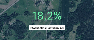 Stockholms Hästklinik AB: Här är de viktigaste siffrorna