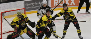 BETYG: De var bäst för Vimmerby Hockey mot Västerås 