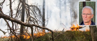 Räddningstjänsten vill ha ersättning – för dyr skogsbrand