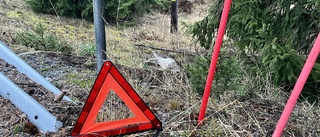 Trafikolycka på väg 55 nära Sköldinge – körde på djur