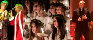 Här är säsongens julkonserter i Uppsala