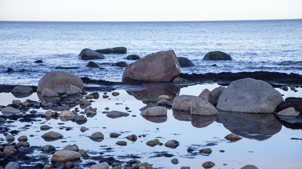 "Dagens strandskyddsregler är omfattande och hindrar brukandet av egen mark. Vi har stor respekt för att allmänheten ska ha tillgång till vatten, även de som inte äger en strandtomt. Men vi behöver ha klart för oss att tillgång till strandlinje inte är ett problem i Sverige", skriver insändarskribenterna. (Arkivbild)
