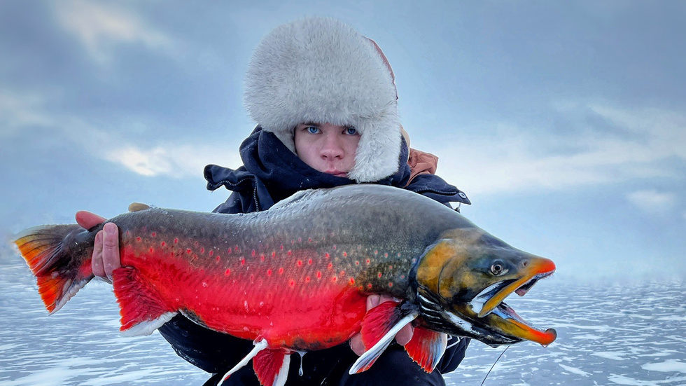 20-årige Lucas Lövgren i Kiruna fick jobba i två timmar innan den här jätterödingen behagade att hugga. Sedan följde en 30 minuter lång fajt innan fisken var uppe. 