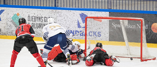 Fem raka segrar – sedan tog det stopp för Piteå Hockey: "Surt"