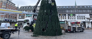 Beskedet: Då monteras jättegranen på torget 