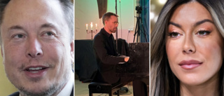 Vem har hög status – Bianca Ingrosso, Elon Musk eller en pianist?