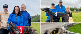 Medaljfest för Skellefteklubben på SM: ”Grymt stolt”