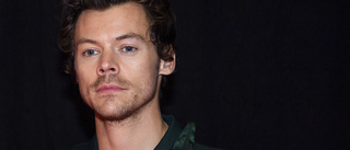 Hockneyporträtt av Harry Styles till museum