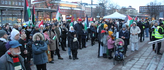 Hundratals demonstranter vid centralstationen